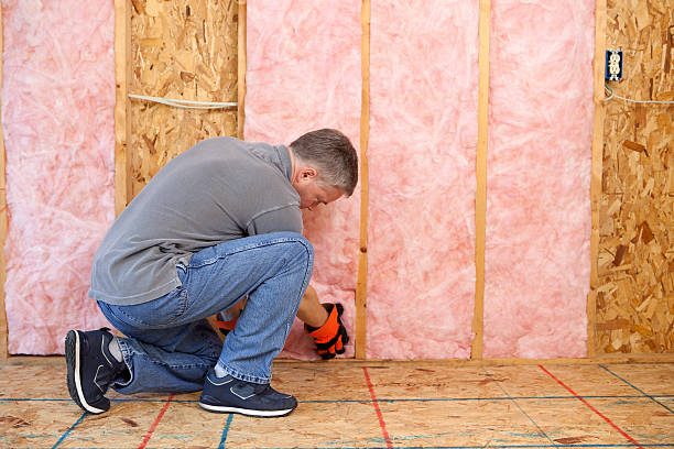 Best Insulation Installation Services in Brownsburg, IN